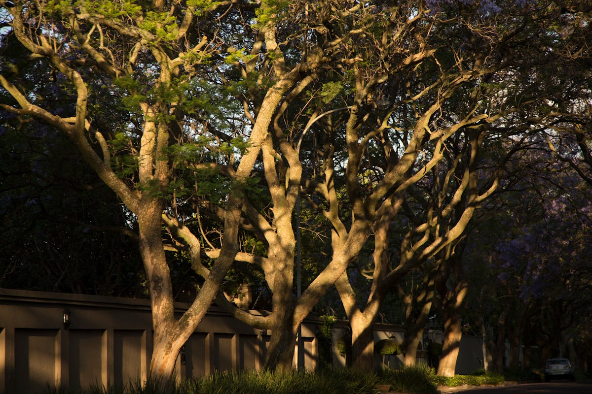 Warped and buckled hardwood flooring from water damage in a home